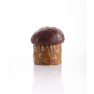 Mini Panettone al cioccolato ricoperto di cioccolato fondente
